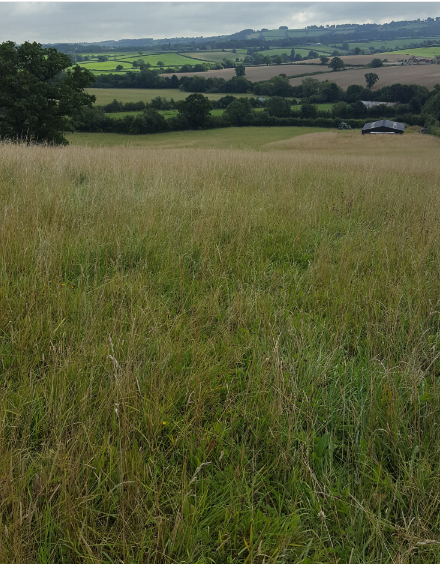 Beach Hill Barn as the land recovers